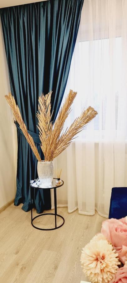 A. G. Central Apartaments Šiauliai Kültér fotó